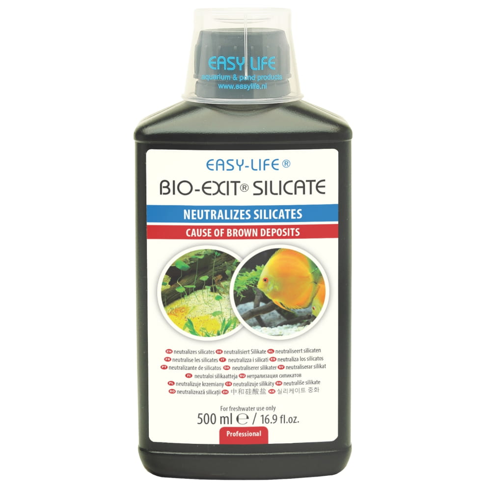 silicate exit 500.jpg